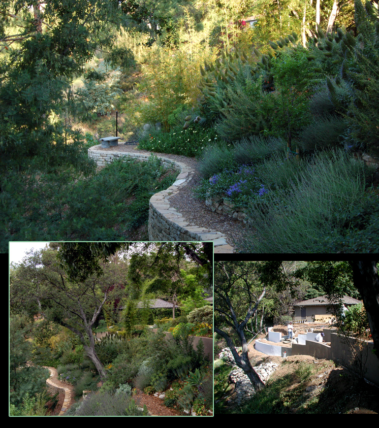 LLSNatureWalkWEB1